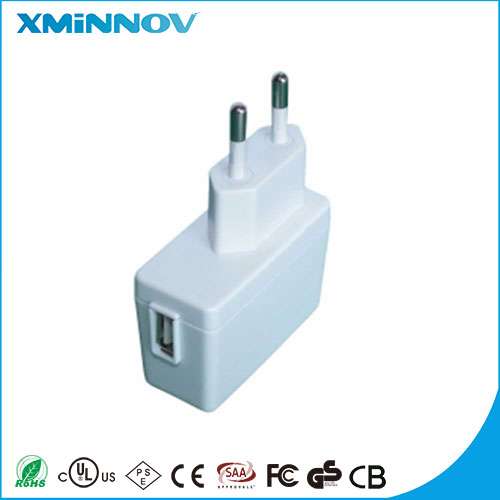 Customized CE GS AC-DC 24V 0.5A IVP2400-0500 Portable Power Supply Adapter